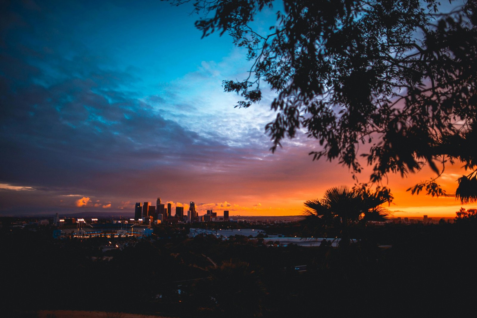 Stunning view of Los Angeles skyline during a colorful sunset from Elysian Park.